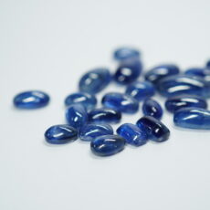 2026年 出展情報