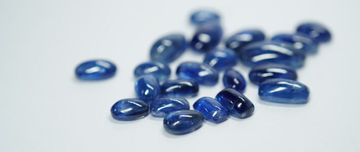 2026年 出展情報